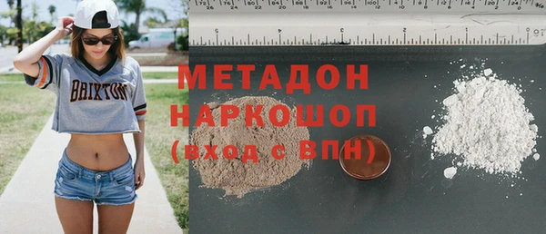шишки Алзамай