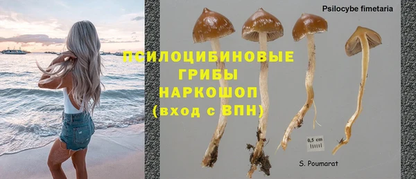 mdpv Арсеньев
